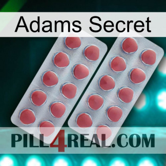Adams Secret 19